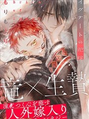漫画合集之深夜书架的十二本封面